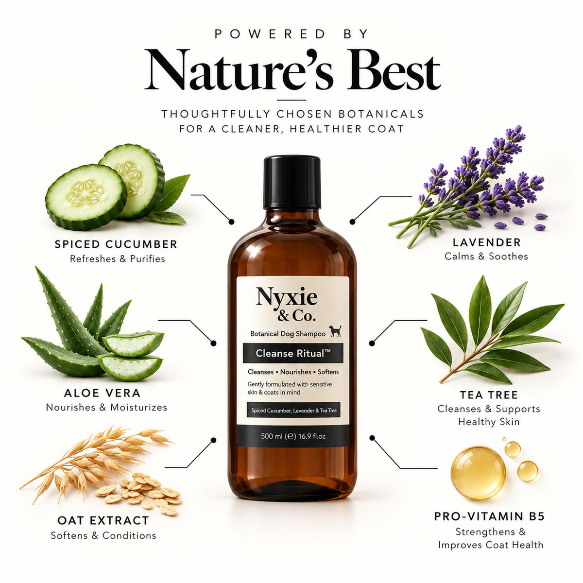 Cleanse Ritual - Dog Shampoo